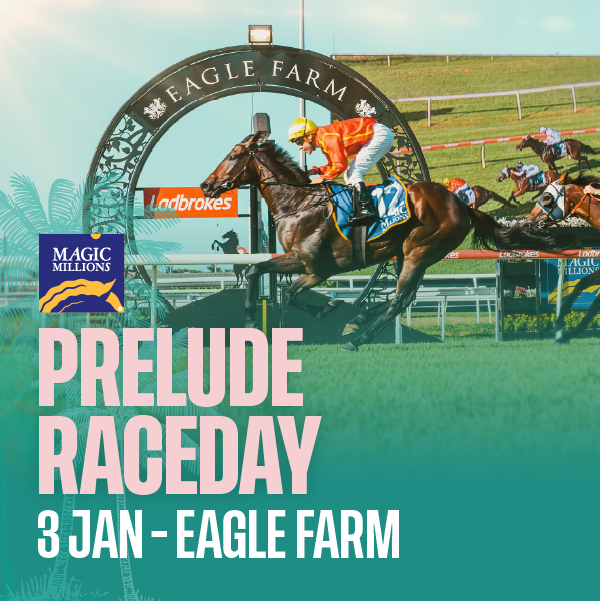 Magic Millions Prelude Raceday